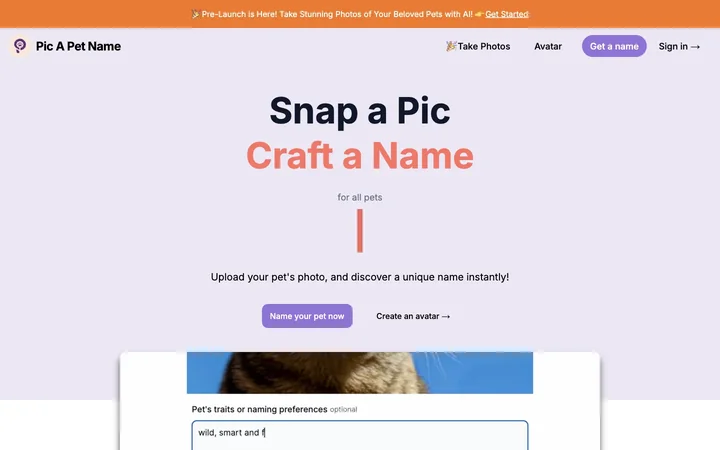 Pic A Pet Name product preview