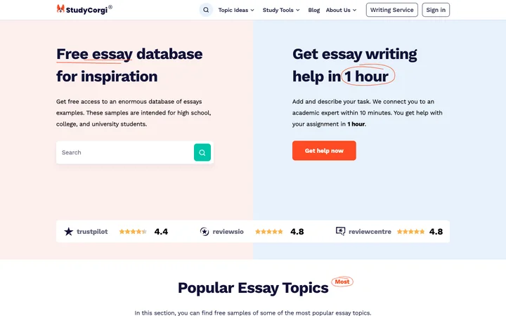StudyCorgi product preview