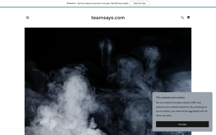 teamsays.com 产品预览