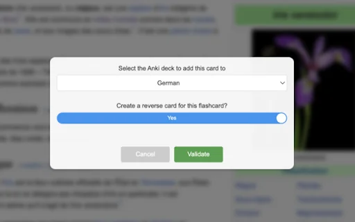AnkiLingoFlash 封面图 3