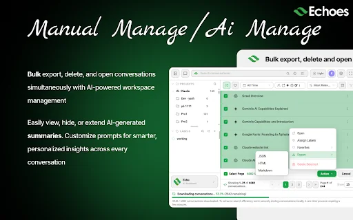 Echoes ChatGPT, Claude & more Tool for Search, Tag, Export & Summarize 封面图 4