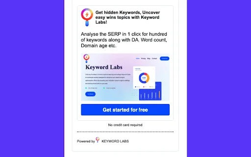 Domain Age Checker Google SERP - Semantic Pen 封面图 4