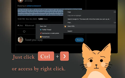 QueryKitty: ChatGPT context on any website 封面图 3
