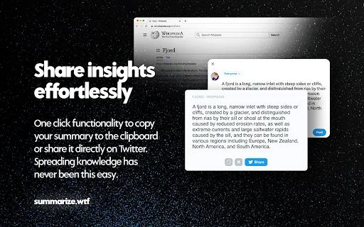 Summarize.wtf - AI Copilot 封面图 4