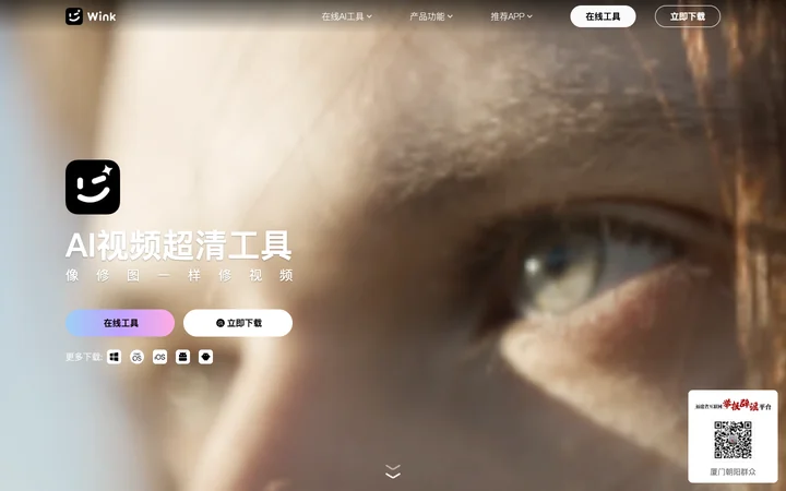 Wink product preview