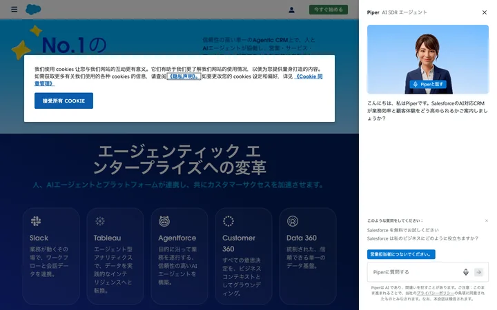 Salesforce product preview
