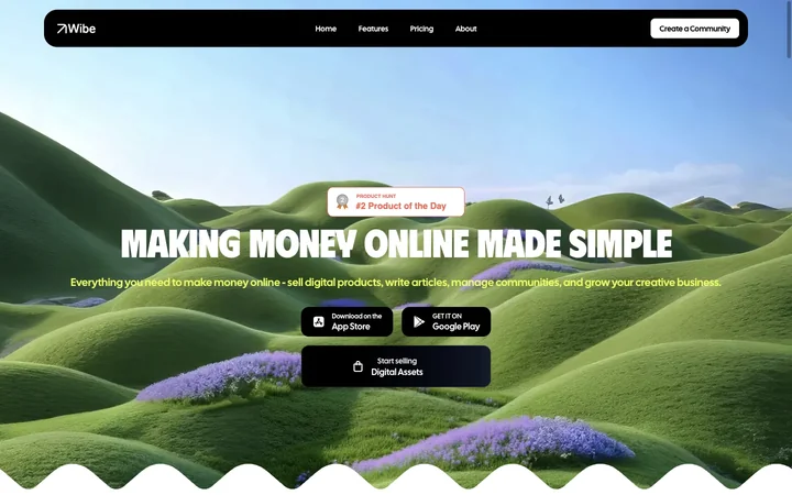 Wibe product preview