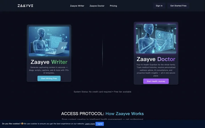 Zaayve product preview