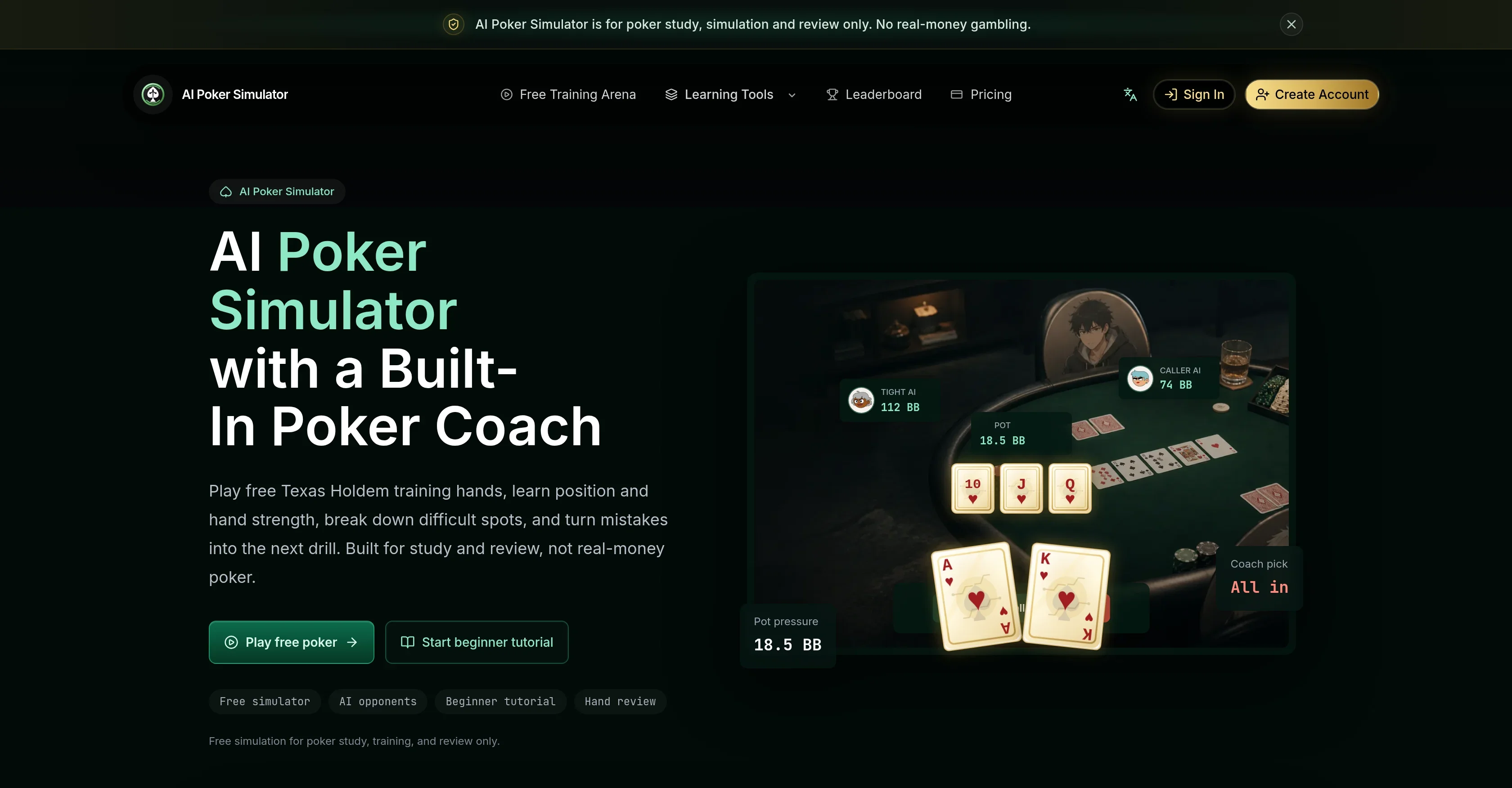 AI Poker Simulator product preview