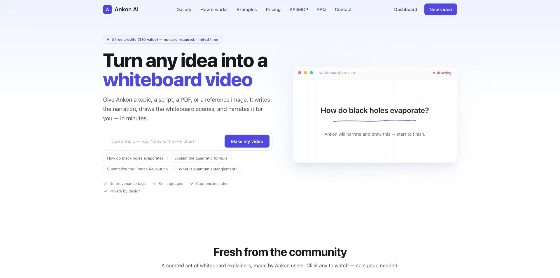 Ankon AI product preview