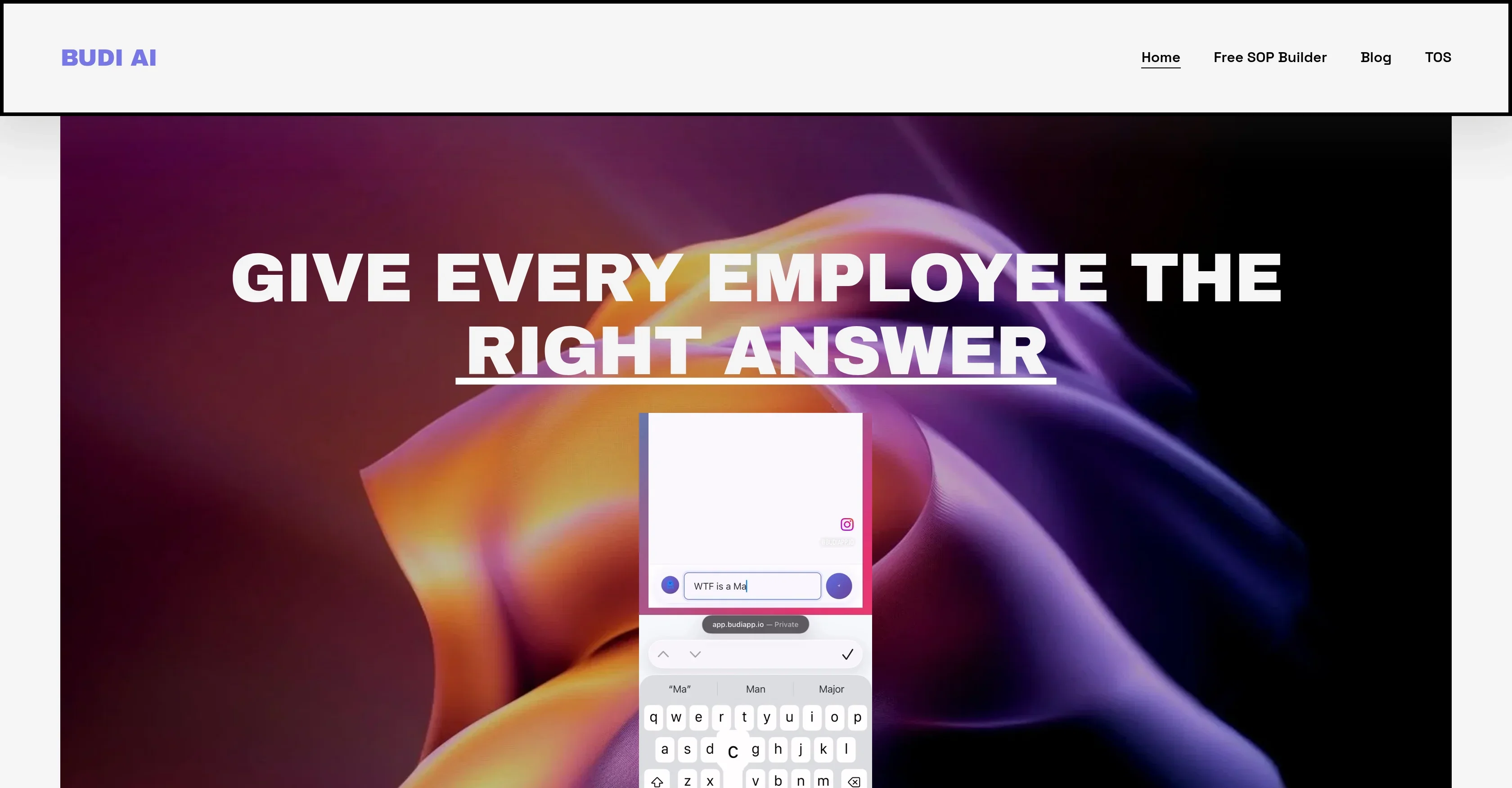 Budi AI product preview