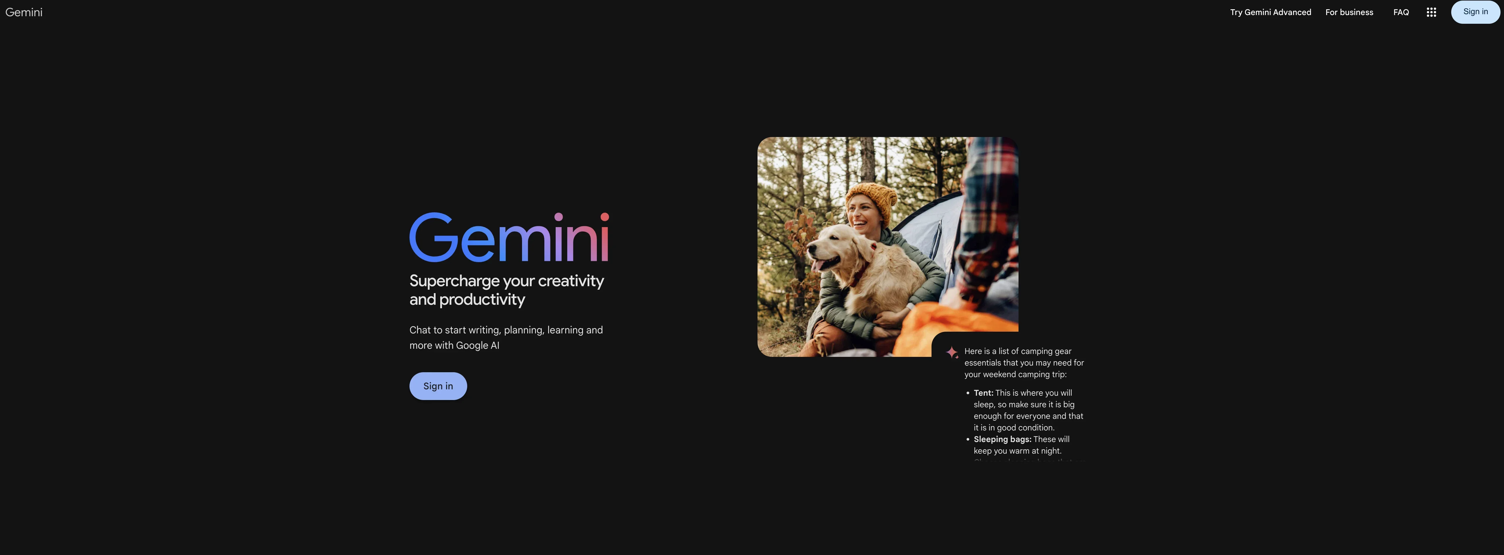 Gemini product preview