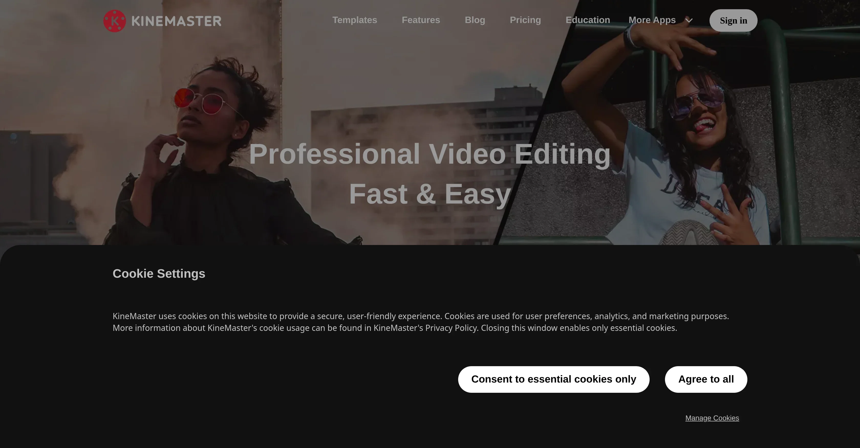 KineMaster product preview
