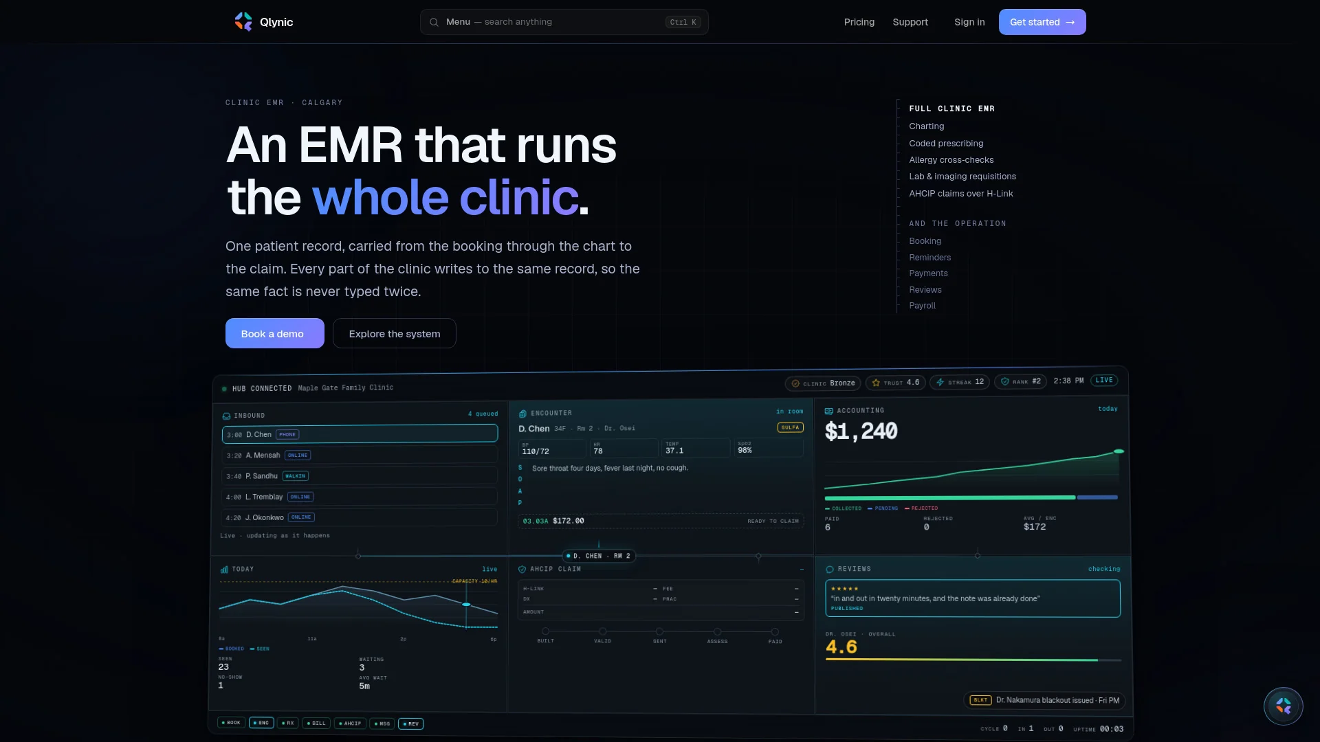 Qlynic product preview