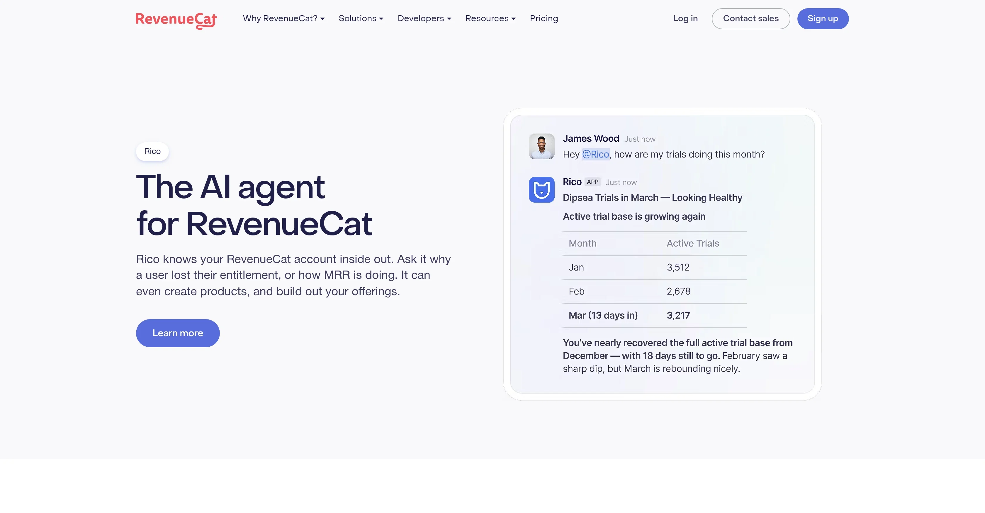 RevenueCat product preview