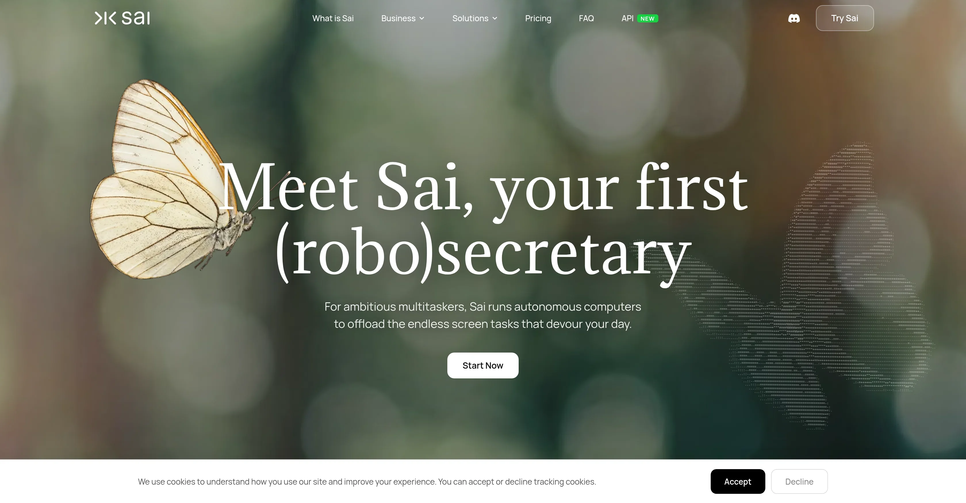 Sai product preview