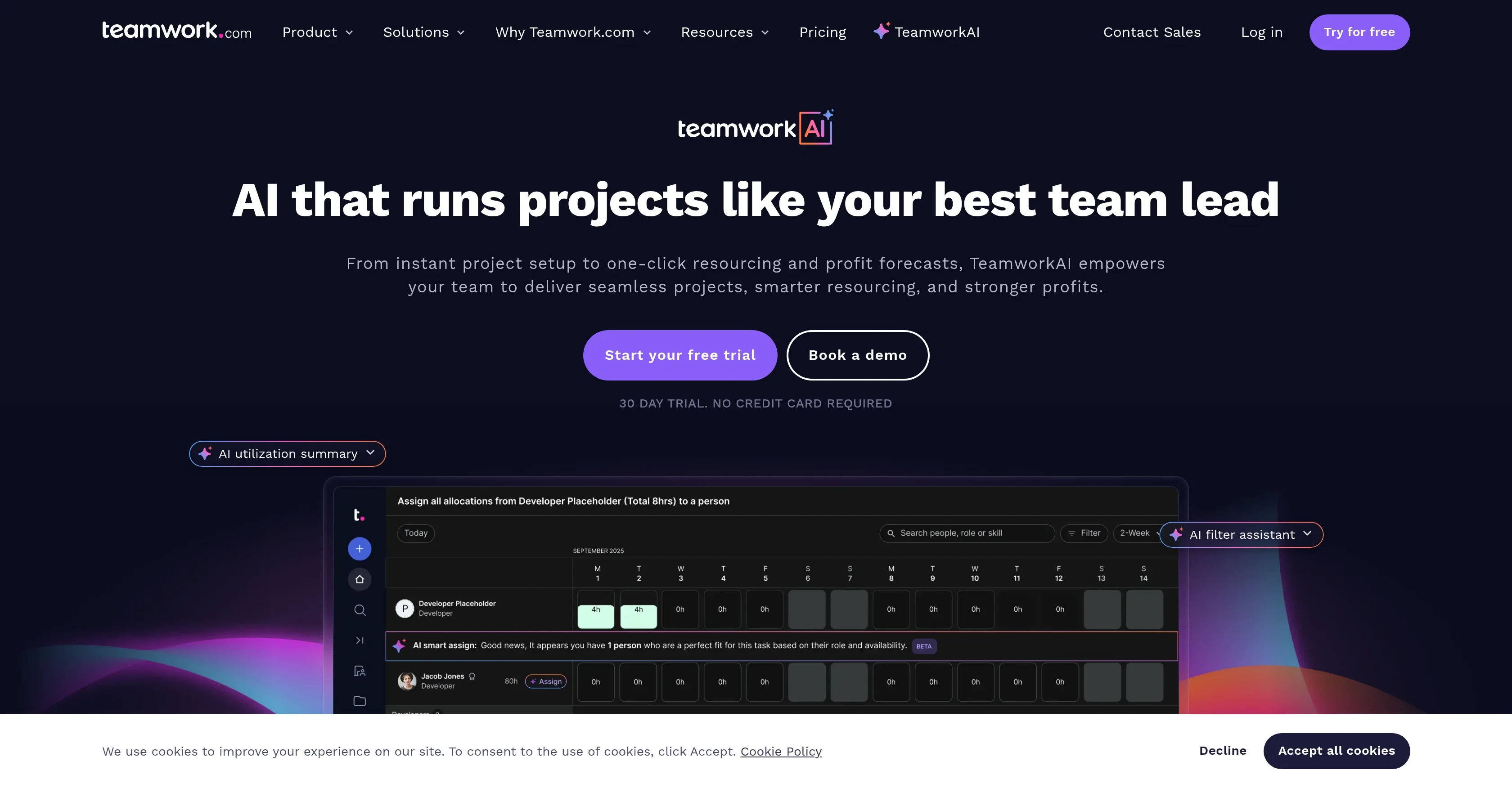 TeamworkAI product preview