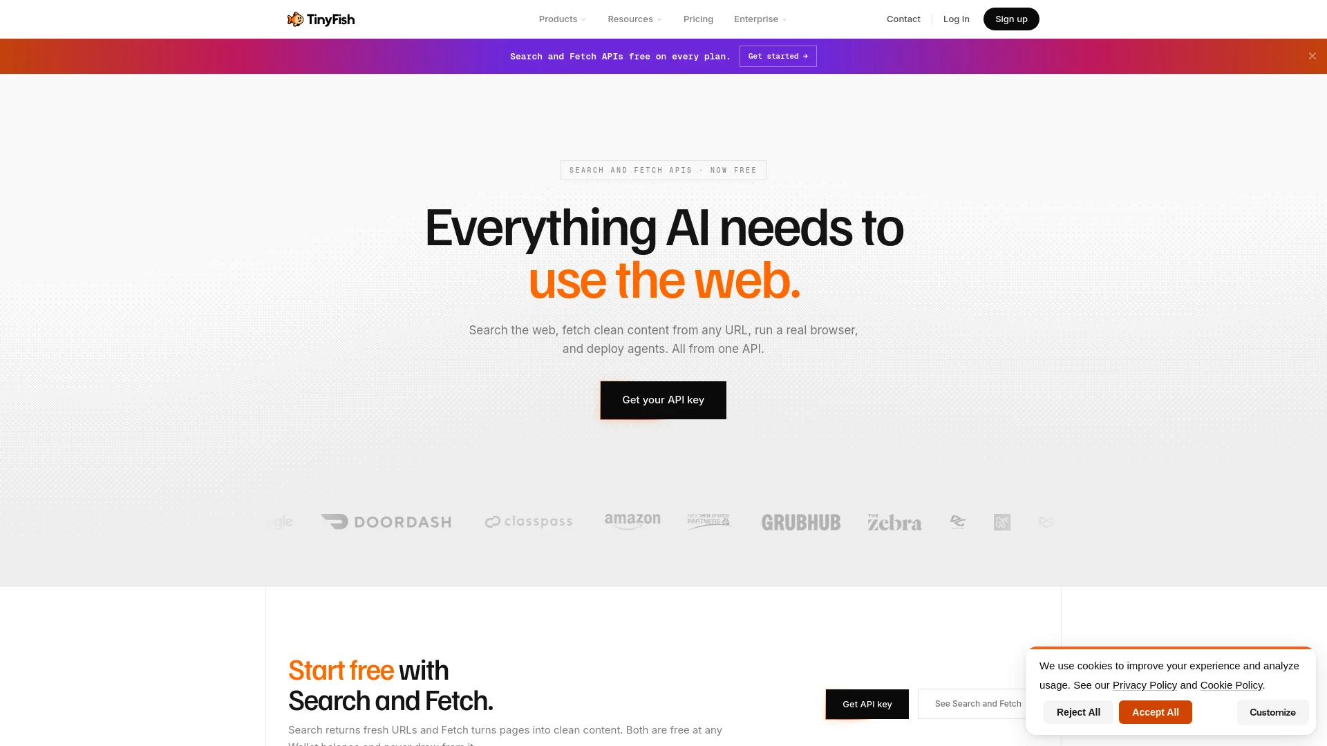 TinyFish product preview